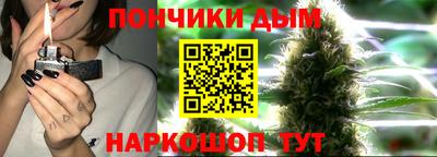 гидропоника Гусиноозёрск