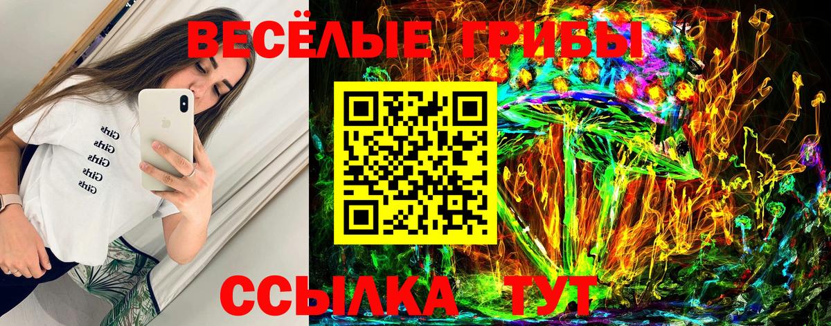 Псилоцибиновые грибы Magic Shrooms  Галлюциногенные грибы Psilocybe  Назрань  Вход с VPN 